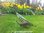 Gartenkunst & Skulpturen Kurs für Anfänger | Inhalt: Blechformen, MAG Schweißen & Plasmaschneiden
